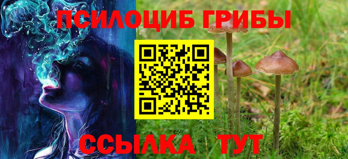 Галлюциногенные грибы прущие грибы Кинель
