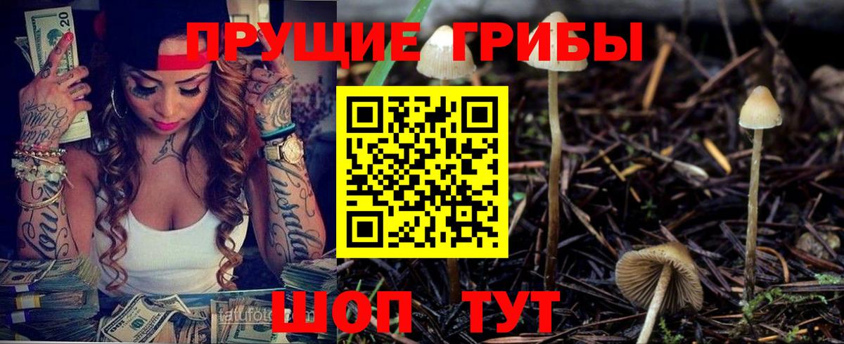 Галлюциногенные грибы прущие грибы  Вход с VPN  закладка  Кинель  Псилоцибиновые грибы Magic Shrooms 